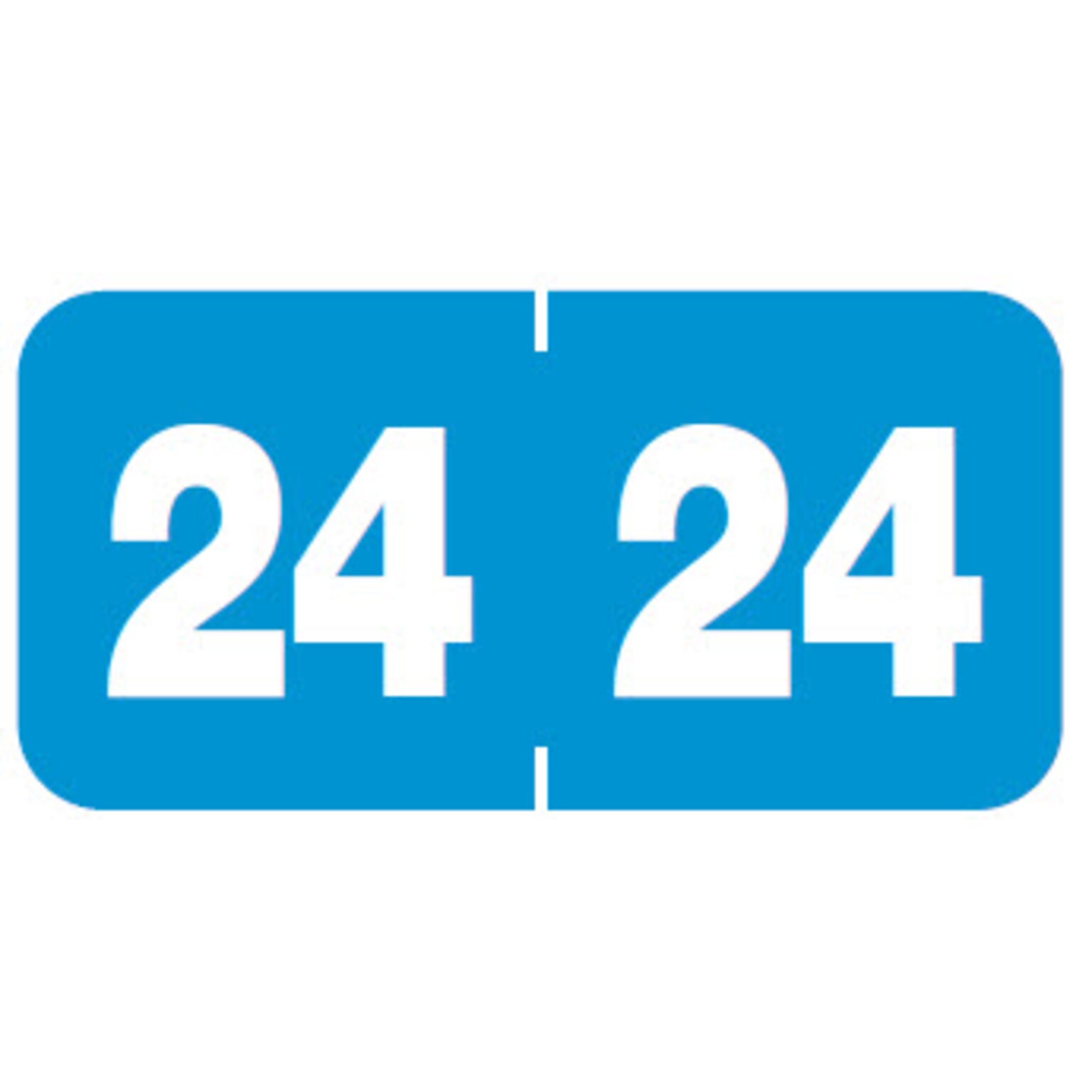 Medical Arts Press Jeter Compatible 2024 Year Roll Style Labels, Blue