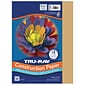 Tru-Ray 9 x 12 Construction Paper, Almond, 50 Sheets/Pack, 5/Pack (PAC103067-5)