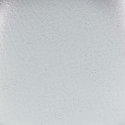 Flash Furniture Louise Vinyl Chiavari Chair Cushion, Silver (BHSILHARDVYL)