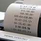 Sharp ELT3301 12-Digit Thermal Printing Calculator, Off-White
