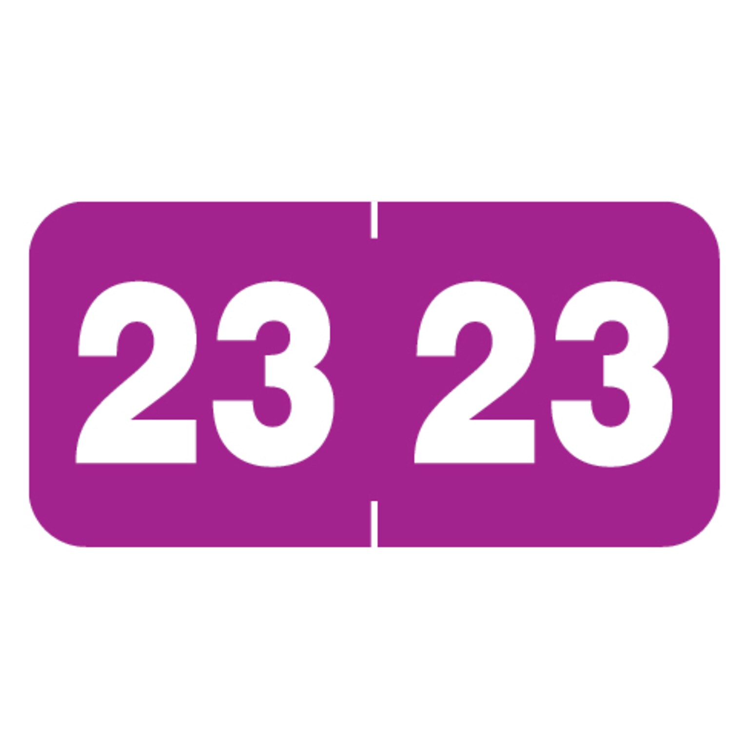 Medical Arts Press Jeter Compatible 2023 Year Label, 3/4 x 1-1/2, Violet, 500/Roll (3266923)