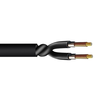 Naztech Platinum MFi Lightning Earbuds, Black (14203)