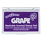 Ready2Learn™ Washable Stamp Pad, Grape Scented, Purple Ink, Pack of 6 (CE-10081-6)