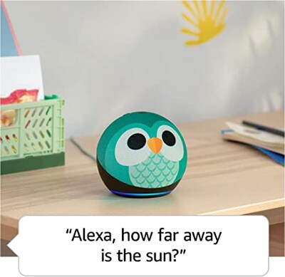 Amazon Echo Dot (5th Gen) Kids Bluetooth, Wi-Fi Wireless Smart Speaker, Owl (B09B9CD1YB)