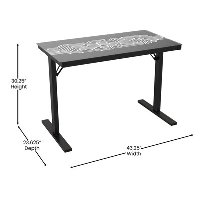 Flash Furniture Shan 43" Steel and Tempered Glass Gaming Desk with LED Lights, Black (NANJNGT2842)