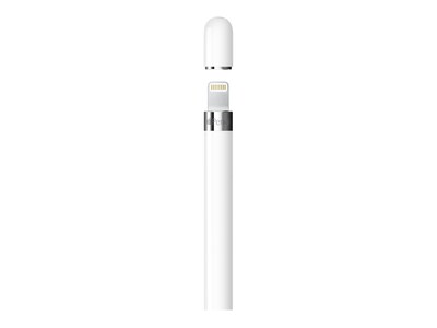 Apple Pencil, 1st Generation, with USB-C to Apple Pencil Adapter, White (MQLY3AM/A)