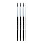 Dynasty Black Silver Round Long Handle 2, Pack of 6 (PK6-32854)