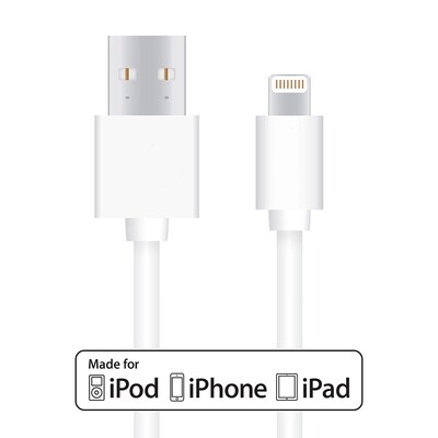 Lightning to USB Cable - 10 ft (3.05 M) MFI Certified Data Sync/ Charge Cord for iPad mini, iPhone 7/8/X, White (2 Pack)