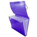 JAM Paper® Accordion Folders, Plastic 13 Pocket Expanding File, Letter, 9 x 13, Purple, Sold Individually (340334203)