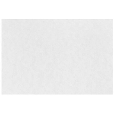 JAM Paper® Blank Note Cards, 4 x 6, White Parchment, 25/Pack (17534162)