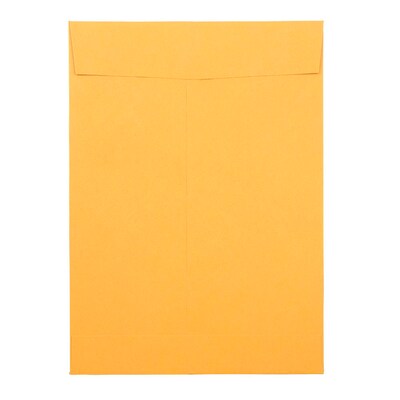 JAM Paper Peel & Seal Open End  Catalog Envelope, 6 1/2" x 9 1/2", Brown, 500/Pack (13034229C)