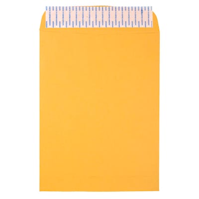 JAM Paper Peel & Seal Open End Catalog Envelope, 9 x 12, Brown, 500/Pack (13034231C)