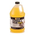 DBS Instant Power Professional Disposal & Drain Cleaner 1 Gallon