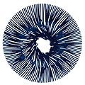 Koziol ANEMONE Bowl Solid Deep Velvet Blue (3538585)