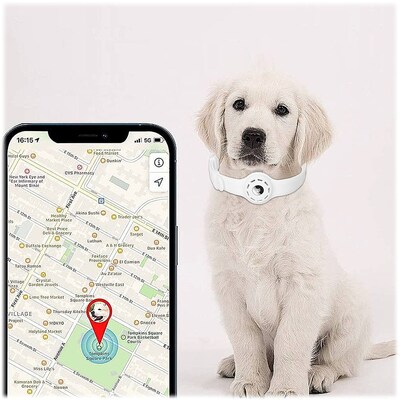SaharaCase Adjustable Silicone Dog Collar for Apple AirTag, Large Dogs, White (AT00031)