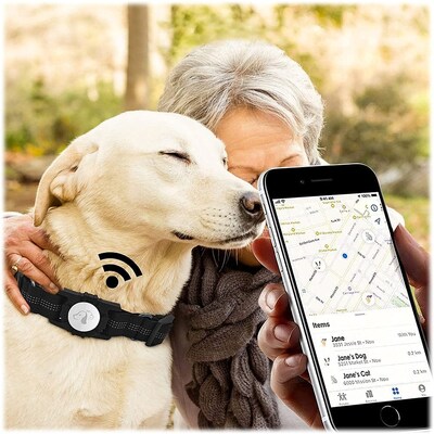 SaharaCase Adjustable Nylon Collar Case for Apple AirTag, Medium Dogs, Black (AT00032)
