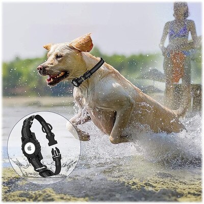 SaharaCase Adjustable Nylon Collar Case for Apple AirTag, Large Dogs, Black (AT00033)