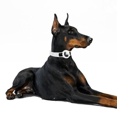 SaharaCase Silicone Dog Collar for Apple AirTag, Small and Medium Dogs, White (AT00018)