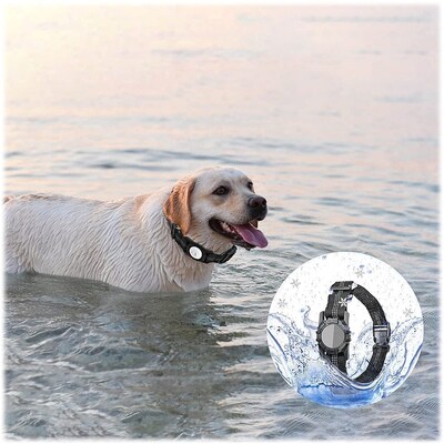 SaharaCase Adjustable Nylon Collar Case for Apple AirTag, Medium Dogs, Black (AT00032)