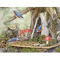 Lang Fairy Garden Boxed Note Cards (1005366)