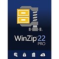 WinZip 22 Pro for Windows (1 User) [Download]