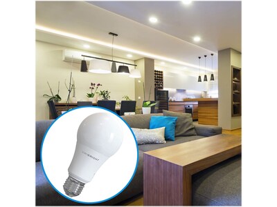 Viribright 14-Watt Daylight LED General-Purpose Bulb, Dozen (651641-12)