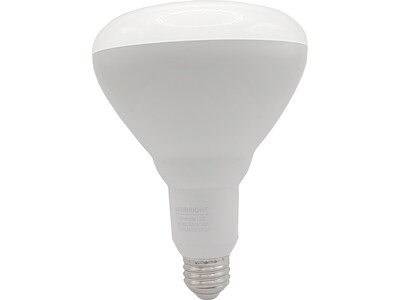 Viribright 16-Watt Soft White LED Floodlight Bulb, 8/Box (654654-8)