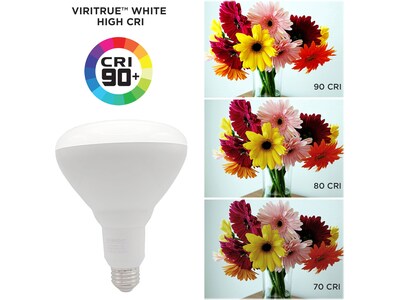 Viribright 16-Watt Soft White LED Floodlight Bulb, 8/Box (654654-8)