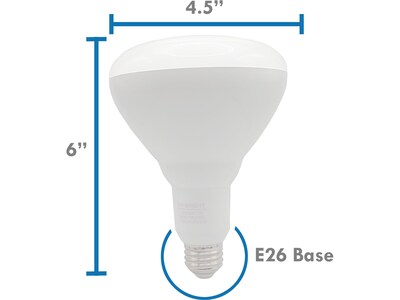Viribright 16-Watt Soft White LED Floodlight Bulb, 8/Box (654654-8)