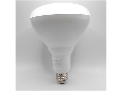 Viribright 16-Watt Soft White LED Floodlight Bulb, 8/Box (654654-8)