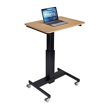 Rocelco 28W 26-41H Adjustable Mobile School Standing Desk, Wood Grain (R MSD-28)