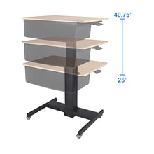 Rocelco 28W 26-41H Adjustable Mobile School Standing Desk with Book Box, Wood Grain (R MSD-28-BB)