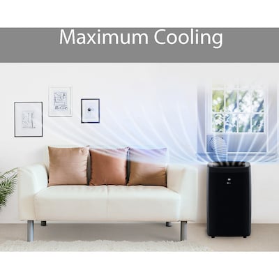LG Electronics 10,000 BTU Portable Air Conditioner, Black (LP1021BSSM)