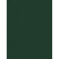 JAM PAPER 8.5 x 11 Color Cardstock, Green Linen, 50/pack  (81211-C-GNLI-50)