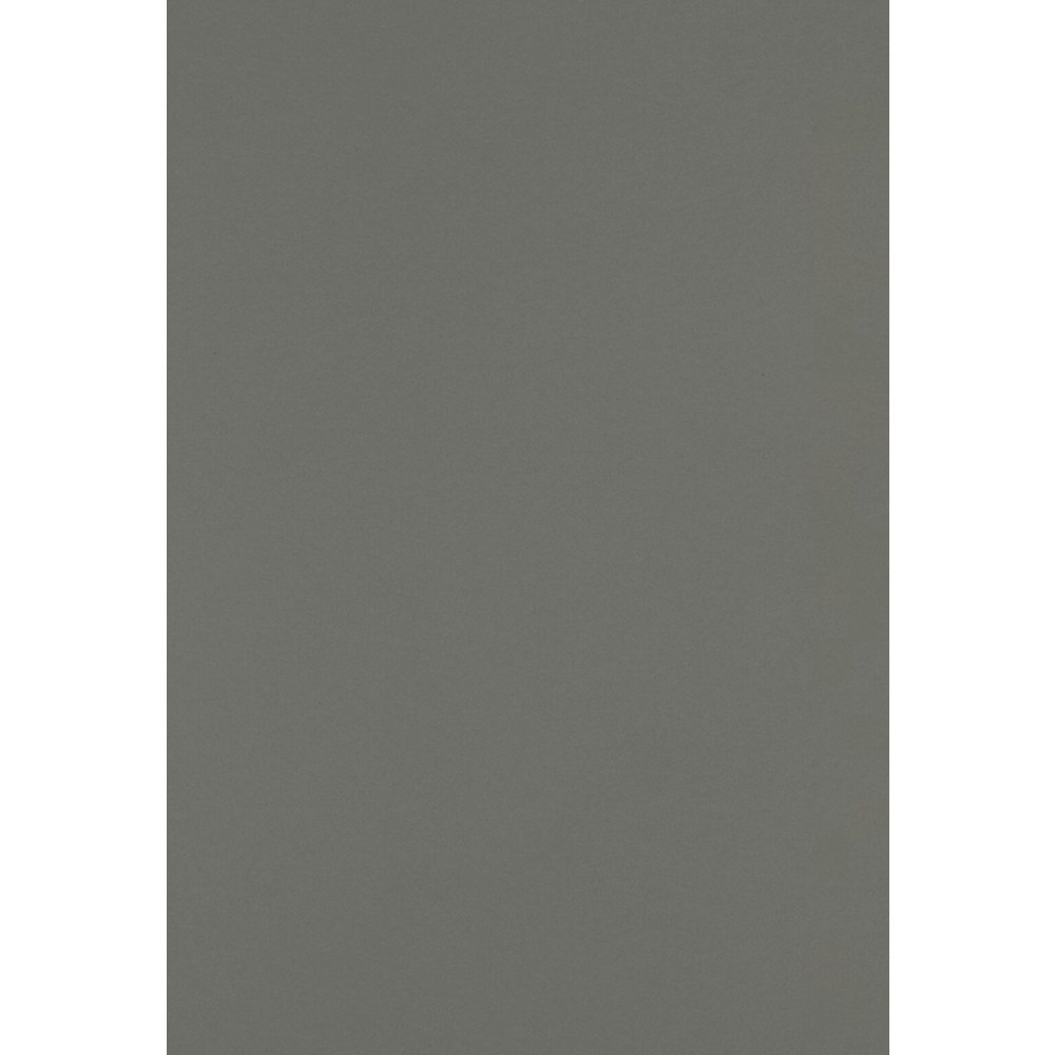 JAM PAPER 13 x 19 Cardstock, 100lb, Smoke, 50/pack  (1319-C-22-50)