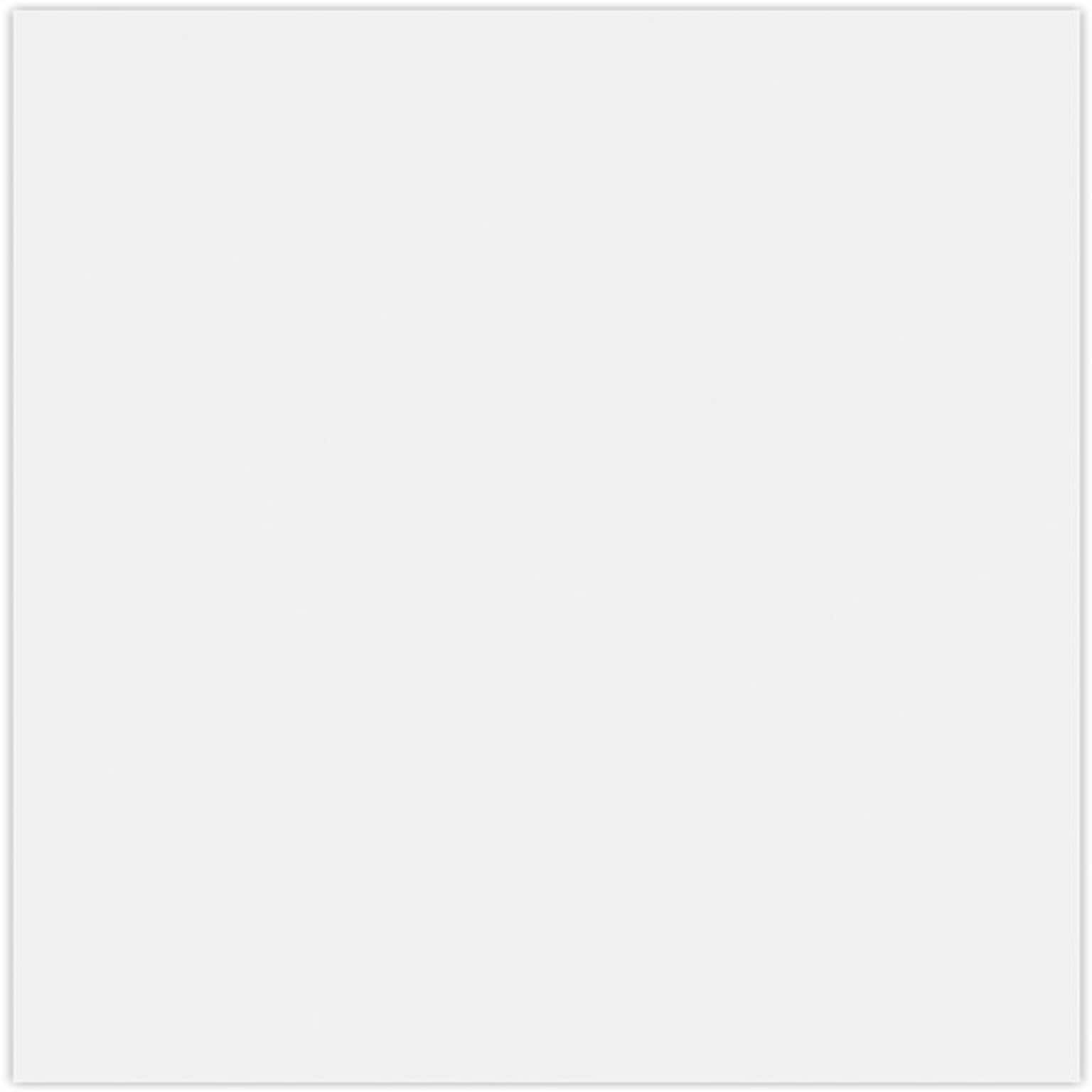 JAM Paper 8.5 x 11 Multipurpose Paper, 92lb, Brilliant White, 50 Sheets/Pack /Pack (81211-P-SBW-50)