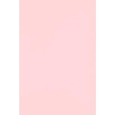 JAM PAPER 12 x 18 Cardstock, Candy Pink, 50/pack  (1218-C-14-50)