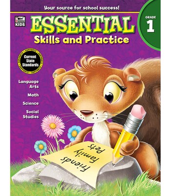Essential Skills and Practice, Grade 1 Paperback (704466)
