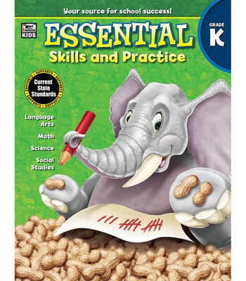 Essential Skills and Practice, Grade K Paperback (704465)
