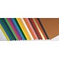 Pacon Fadeless Art Paper, 12" x 18", Assorted Colors, 60/Pack (57504)
