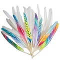 S&S Worldwide Long Quill Feathers White (TR285)