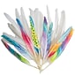 S&S Worldwide Long Quill Feathers White (TR285)