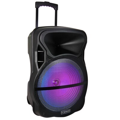 Trexonic Wireless Bluetooth 15" Portable Party Speaker, Black (93695833M)