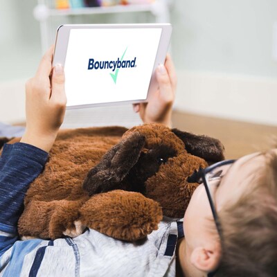 Bouncyband Washable Sensory Plush Lap Pad, Puppy (BBALPDO)