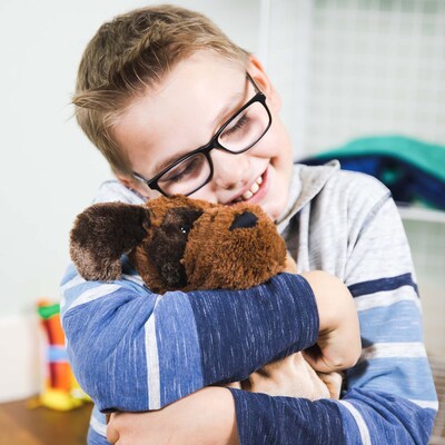Bouncyband Washable Sensory Plush Lap Pad, Puppy (BBALPDO)