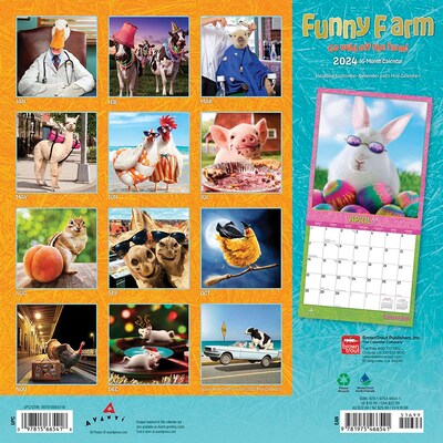 2024 BrownTrout Avanti Funny Farm 12 x 12 Monthly Wall Calendar (9781975466541)