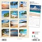 2024 BrownTrout Beaches 12" x 12" Monthly Wall Calendar (9781975457853)