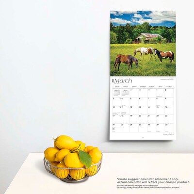 2024 BrownTrout Georgia on My Mind 12" x 12" Monthly Wall Calendar (9781975467265)
