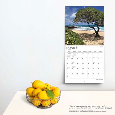 2024 BrownTrout Hawaii Wild & Scenic 12" x 12" Monthly Wall Calendar (9781975463069)