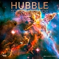 2024 BrownTrout Hubble Space Telescope 12 x 12 Monthly Wall Calendar (9781975463151)